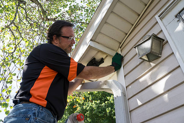 Affordable Siding Repair and Maintenance Services in Murray, KY